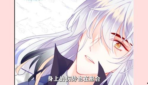 你马甲掉了，幽皇陛下,幽皇陛下身份揭秘