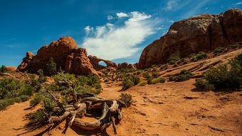 大峡谷的荒野危机,生死边缘的极限挑战