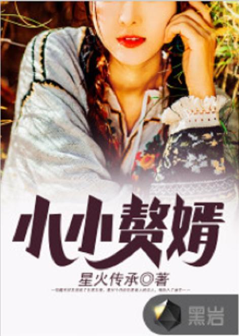 小小赘婿不好惹